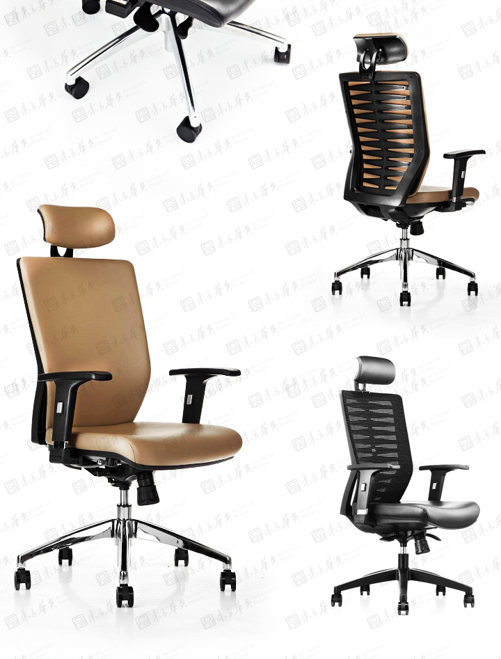 �k����|�����а���|�k���Ҿ�|Zebra����|�F(xi��n)�����w���W�OӋ���m͸����Ƥ �W������� �T�� �а��� ���h��